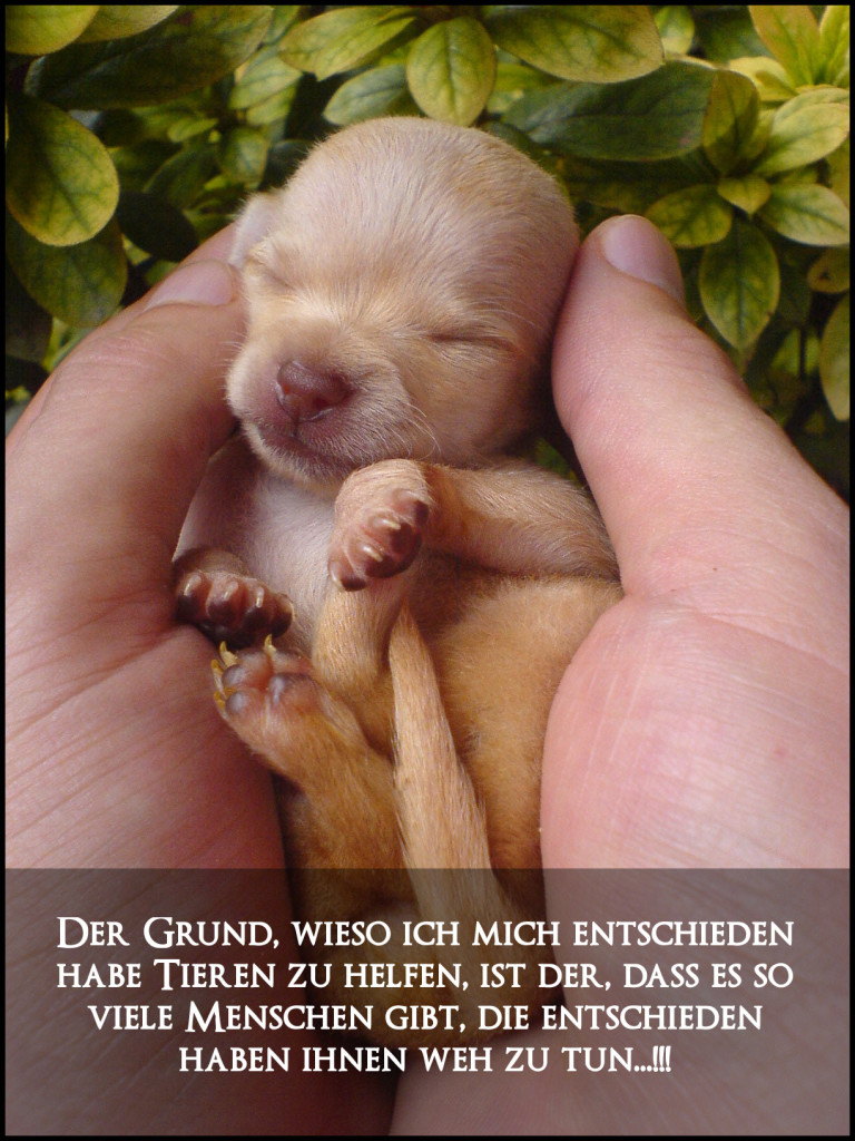 1021281791_e83bfbf0b6_o