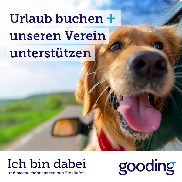 urlaub-buchen-vereine-2-mittel