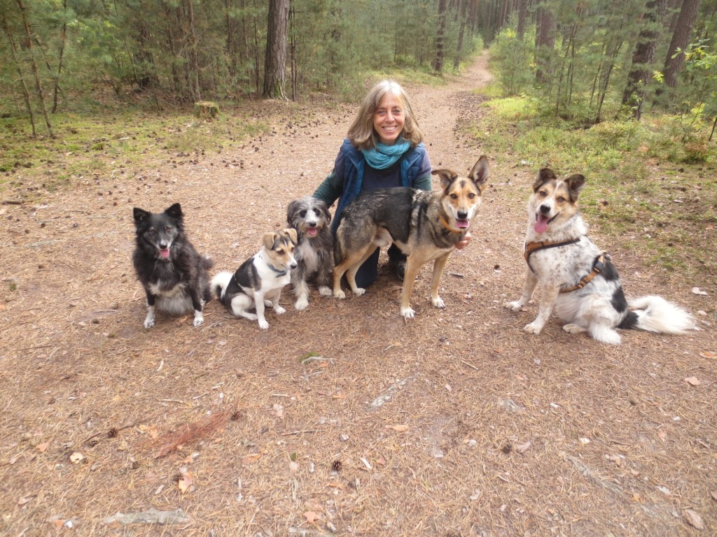 Spaziergang Oktober 2015 020