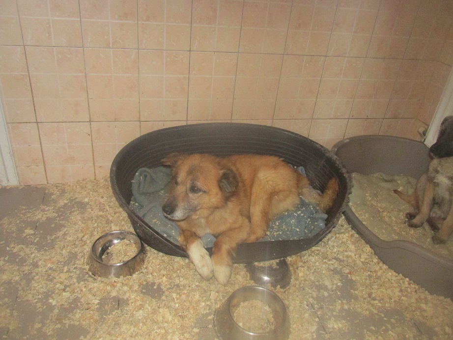 Oktav-IMG_9204 (002)