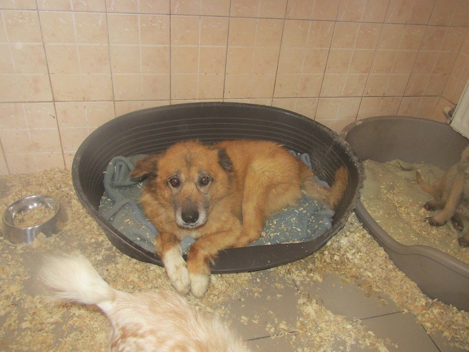 Oktav-IMG_9205 (002)