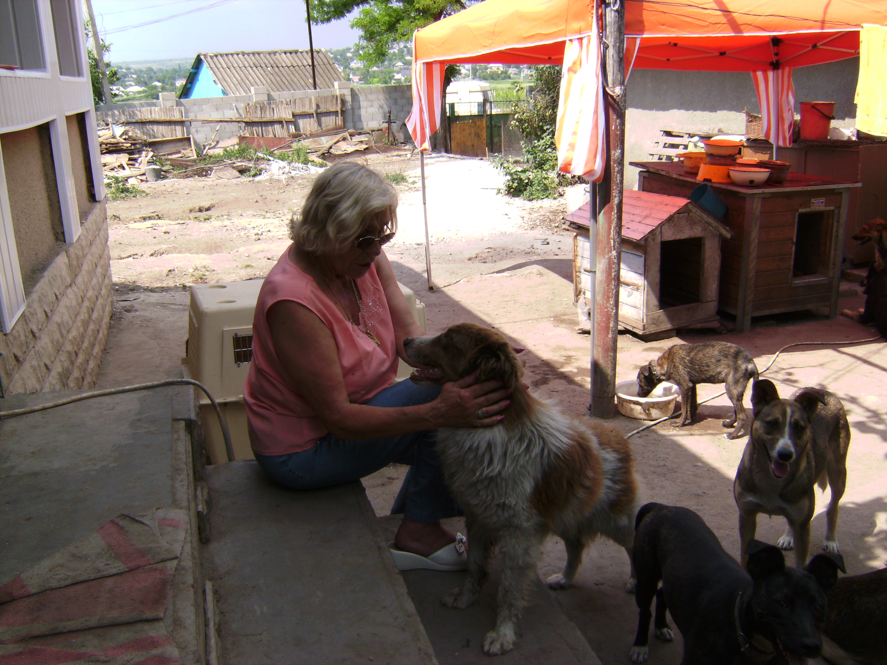 b0c19b4d-1ce9-4446-a056-faf2e5cf16ed